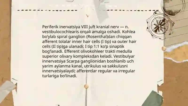 Eshtish organi inervatsiyasi 3
