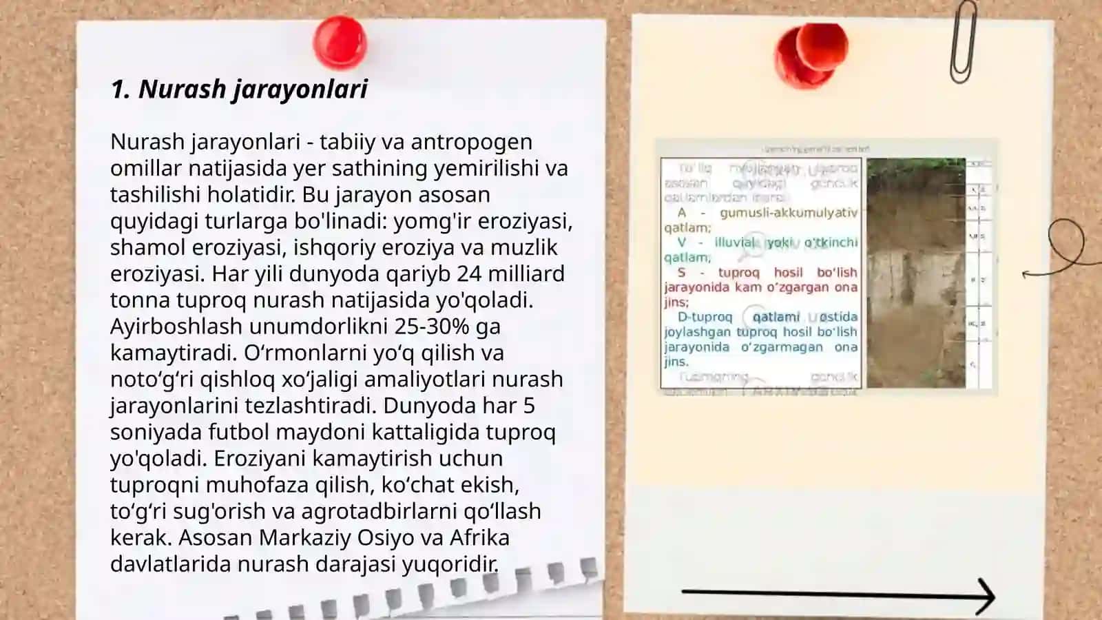 Tuproq hosil qiluvchi gʻovaksimon nurash mahsulotlari 3
