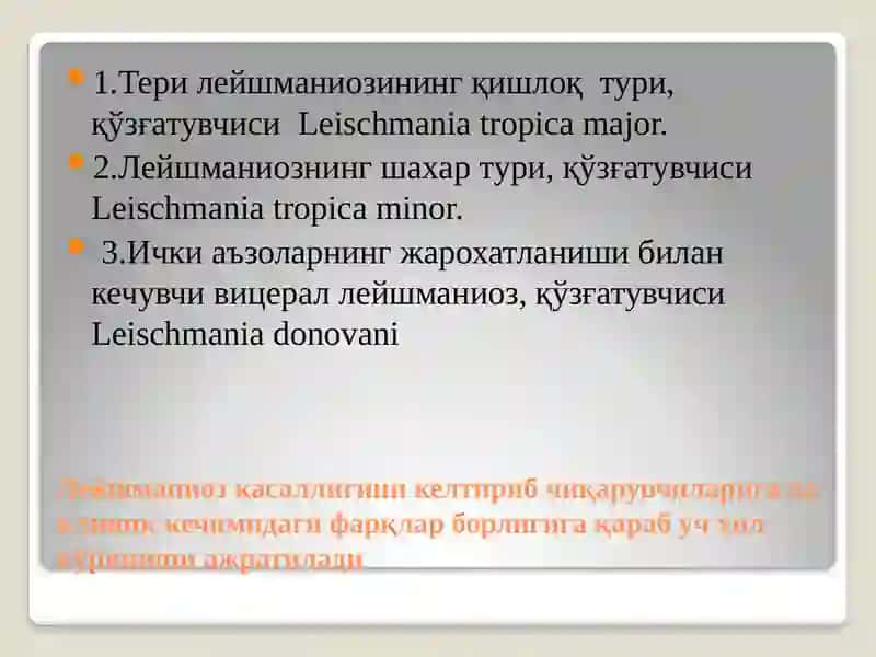 LEYSHMANIOZ 3