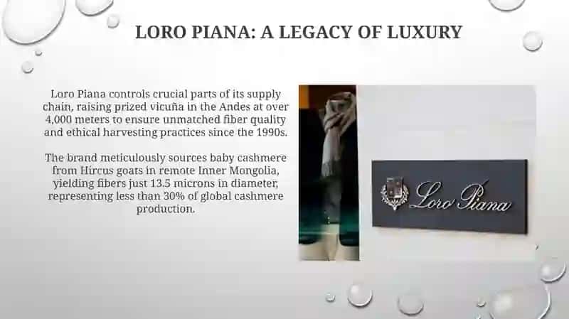Loro Piana 3