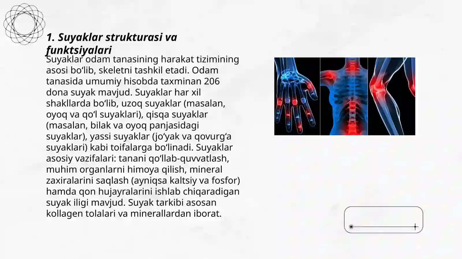 Suyaklar. Suyak turlari, bolalarda suyak kasalligi 3