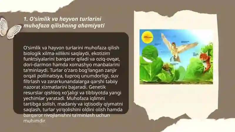 O'simlik va hayvon turlarini muhofaza qilish 3