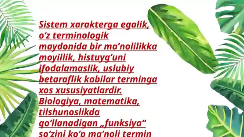 Termin 3