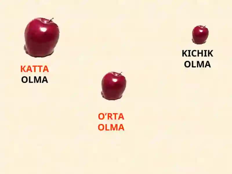 OLMA 3