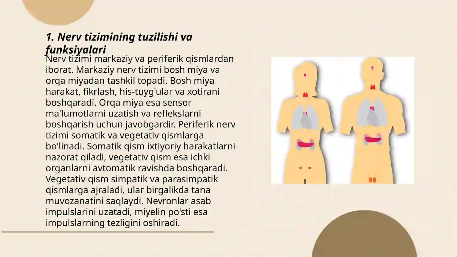 Organizmning nerv immun endokrin boshqariluvi 3