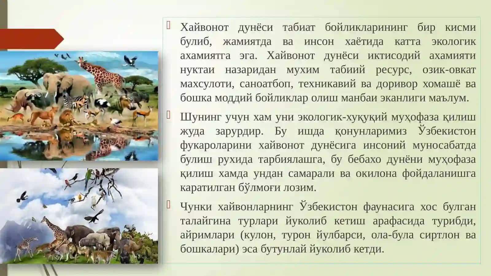 ФАН НОМИ: ХОЗИРГИ ЗАМОННИНГ ЭКОЛОГИК МУАММОЛАРИ: «ҲАЙВОНОТ ОЛАМИНИ МУҲОФАЗА ҚИЛИШ» 3