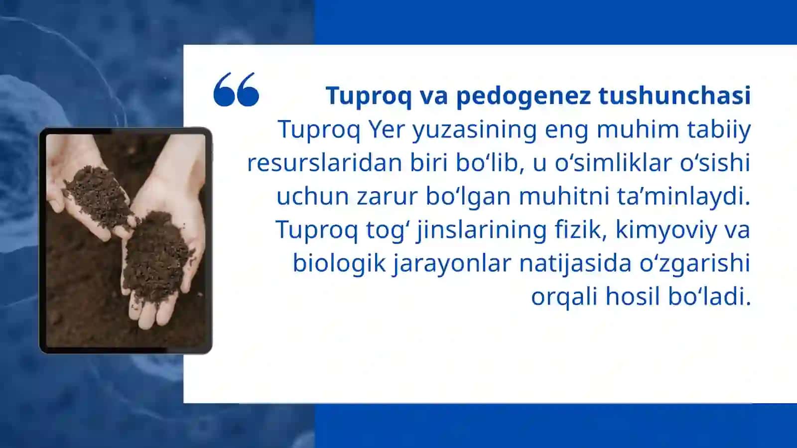 Organizmlar va tuproq hosil bo‘lishi hamda geografiyasi 3