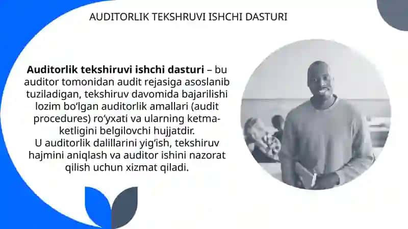Auditorlik tekshruvi ishchi dasturi 3