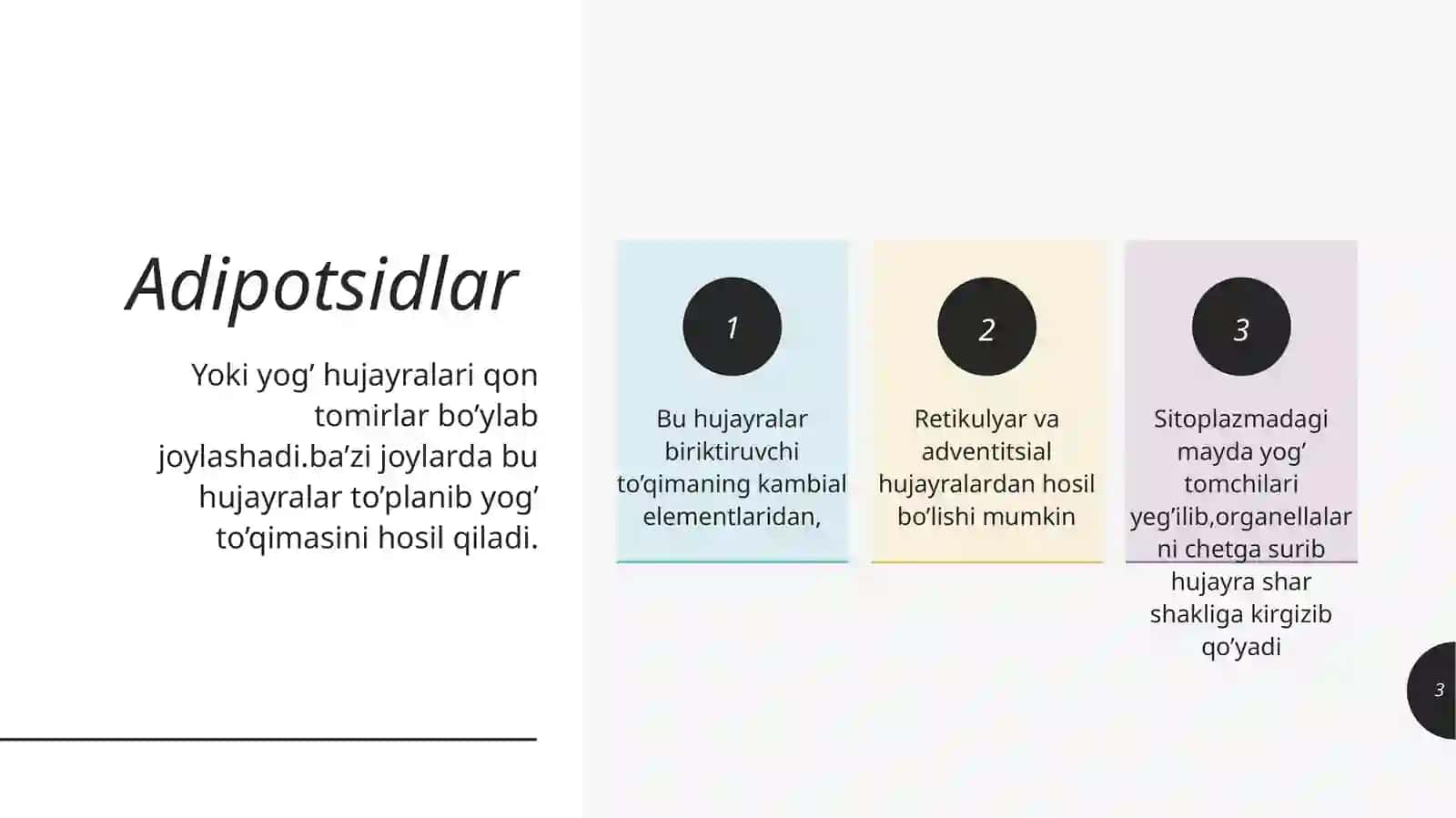 Prezentatsiya 3