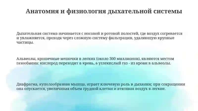 Заболевание органов дыхательных систем 3
