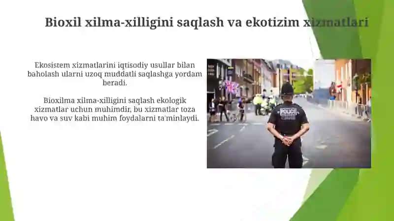 Ekologik xavfsizlikni ta'minlash prinsiplari va iqtisodiy omillar 3