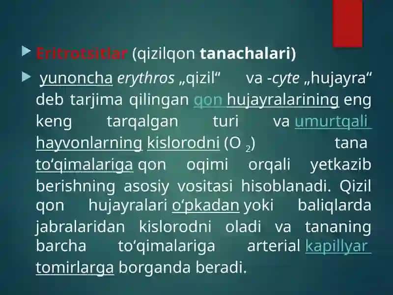 MAVZU: QON FIZIOLOGIYASI 3