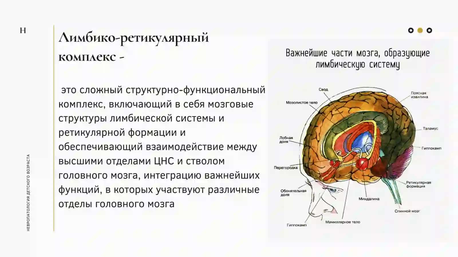 Umumiy gigiyena va tibbiyot taqdimoti (1-variant) 3