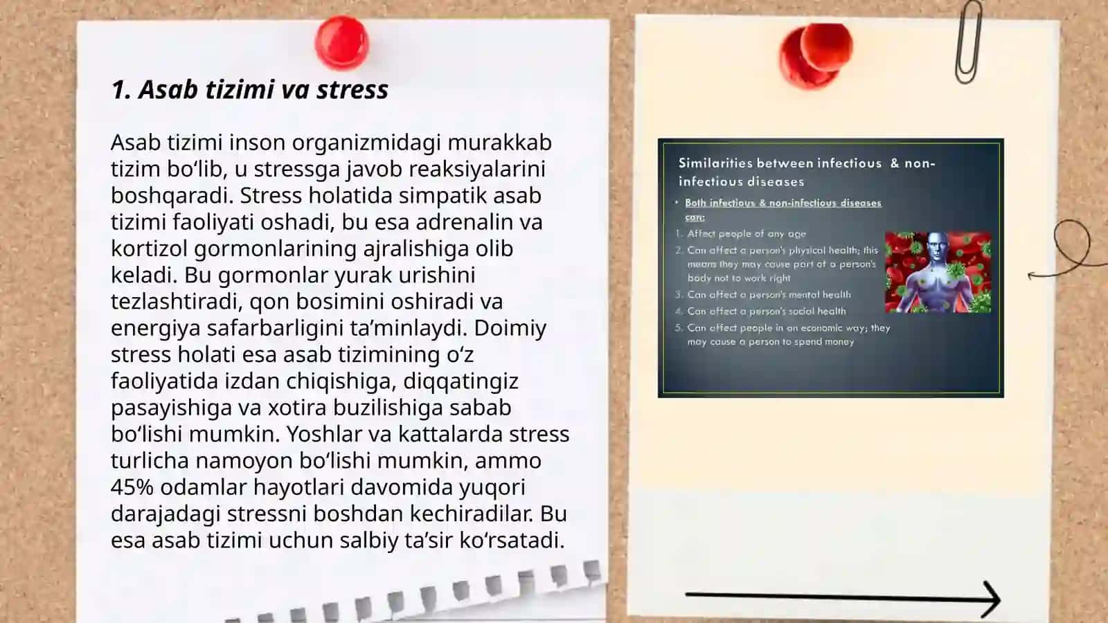 Asab Tizimi va Stress 3