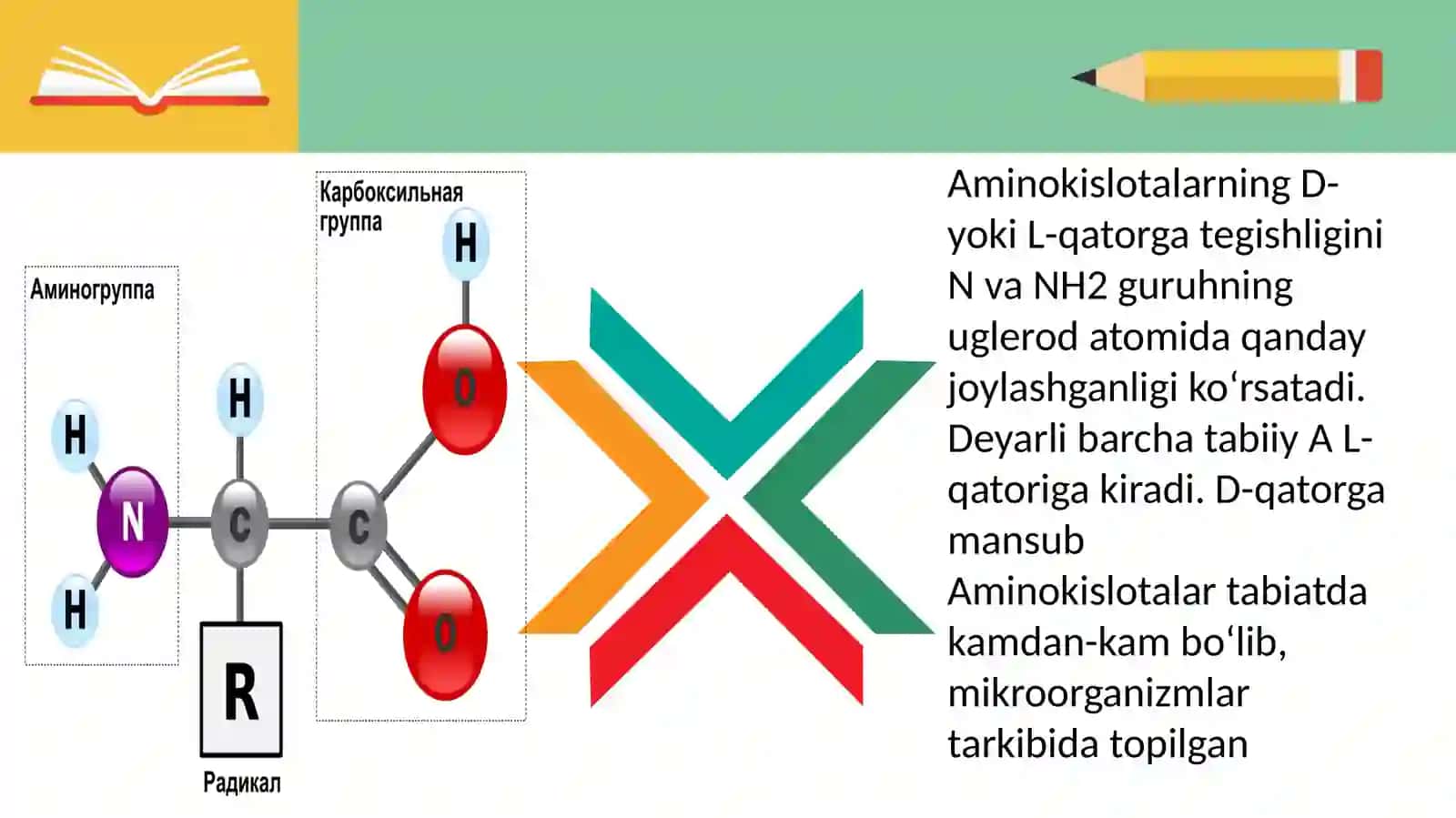 Amino kislotalar 3