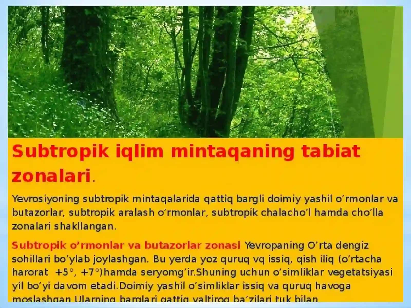 Subtropik Sernam Musson O‘rmonlar Zonasi 3