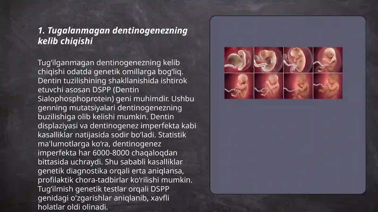 Tugalanmagan dentinogenez 3