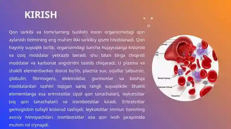 Qontarkibi.Tomirlarning tuzilishi va farqlari 3