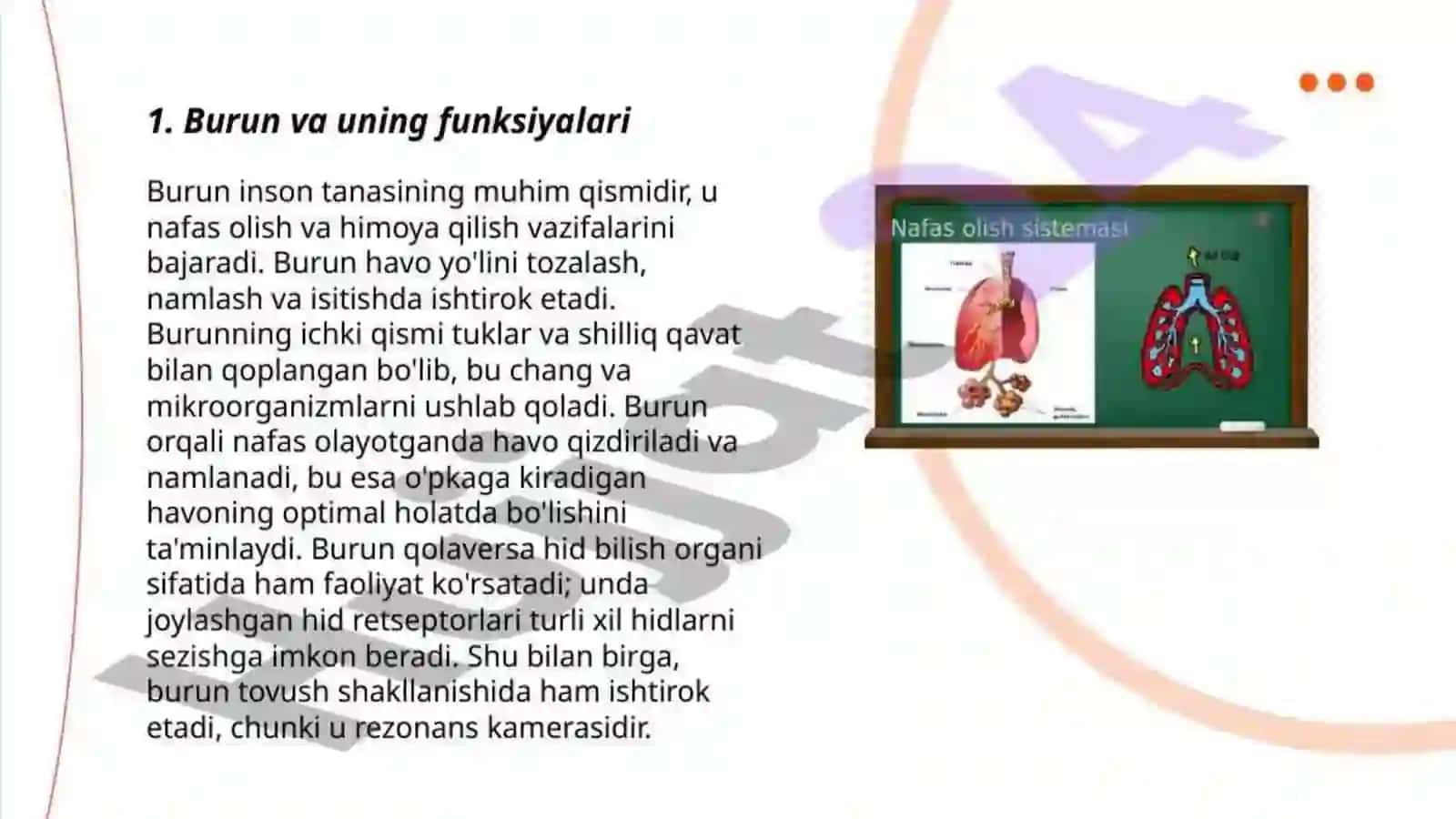 Nafas olish tizimi 3