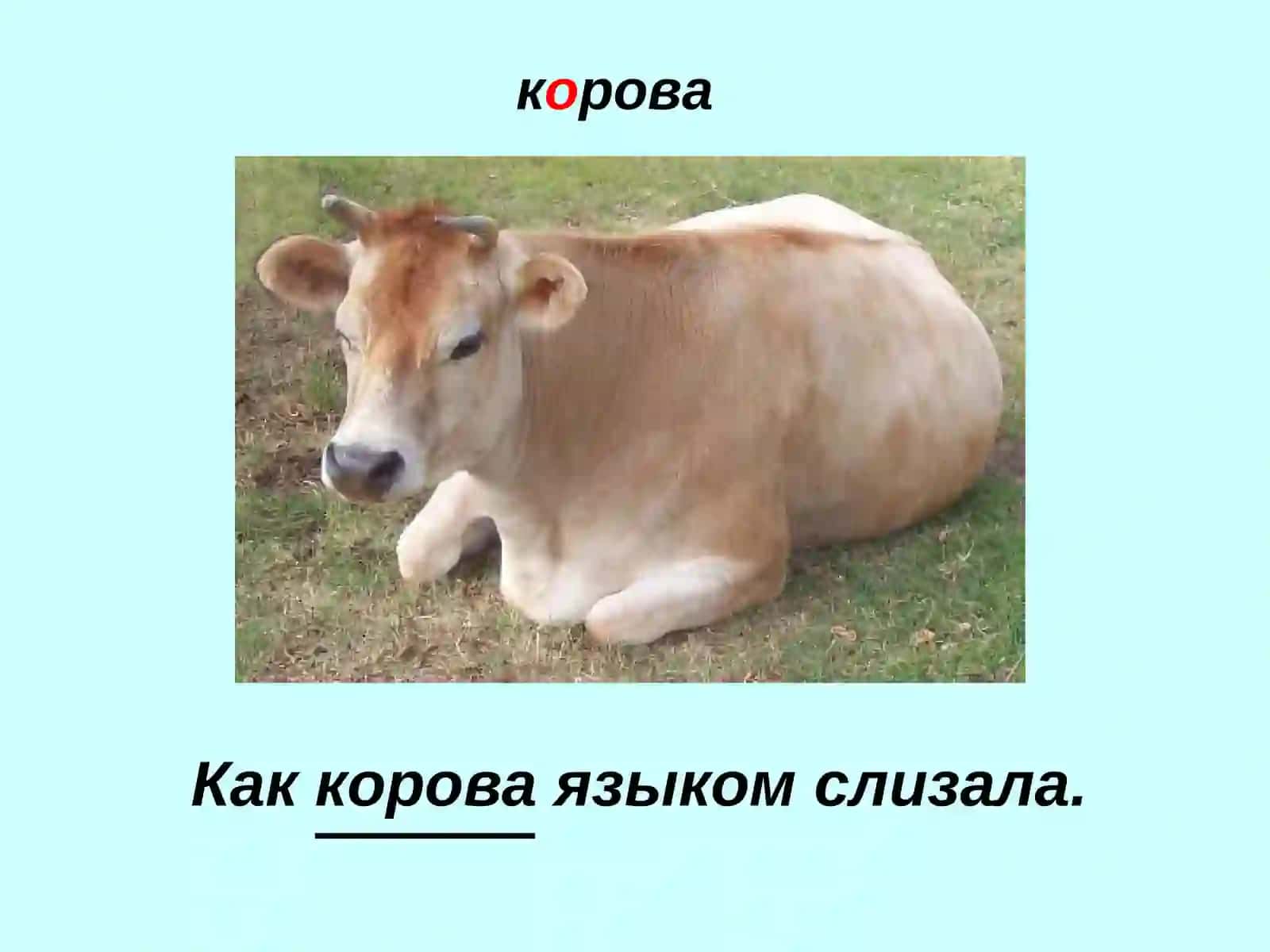 Главные члены предложения. Подлежащее, выраженное одушевленными и неодушевленными именами существительными 3