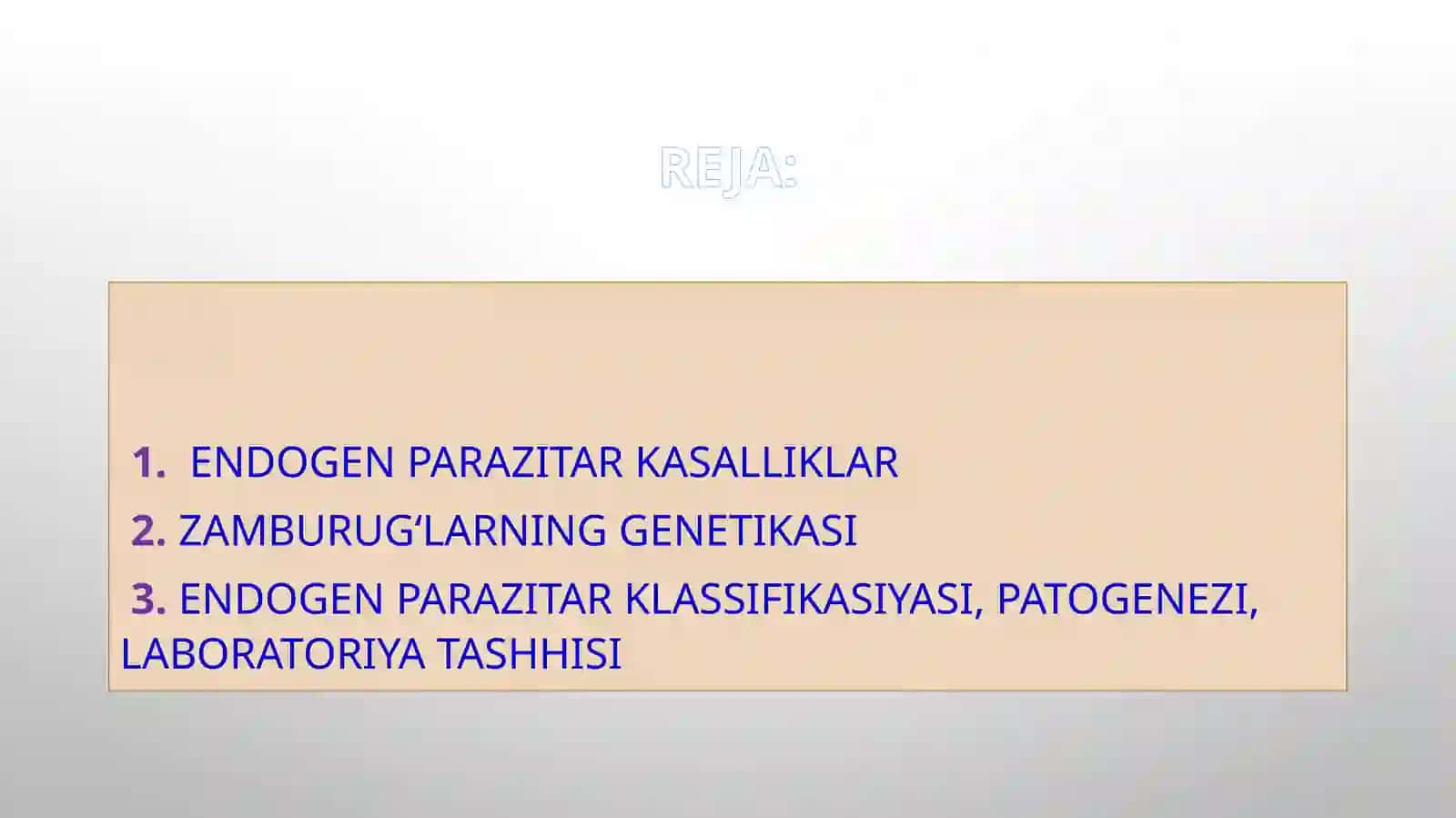 MUSTAQIL ISHI TERMIZ-2023 4