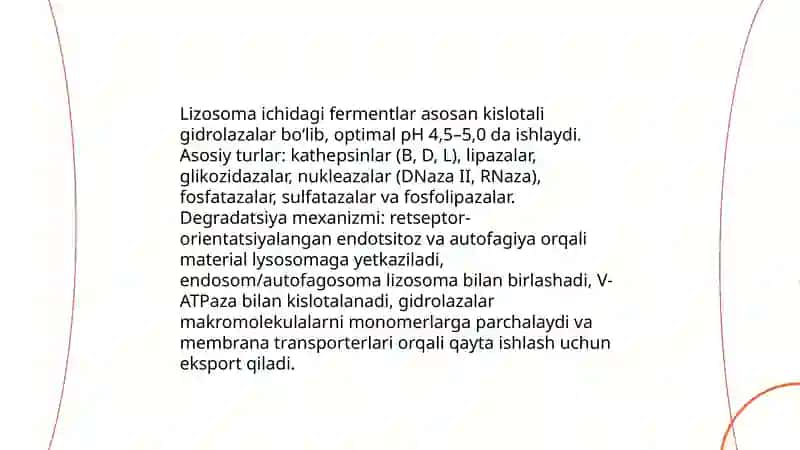 Sitoplazma organoidlari— lizosoma, sentrasoma, mikronaycha 4