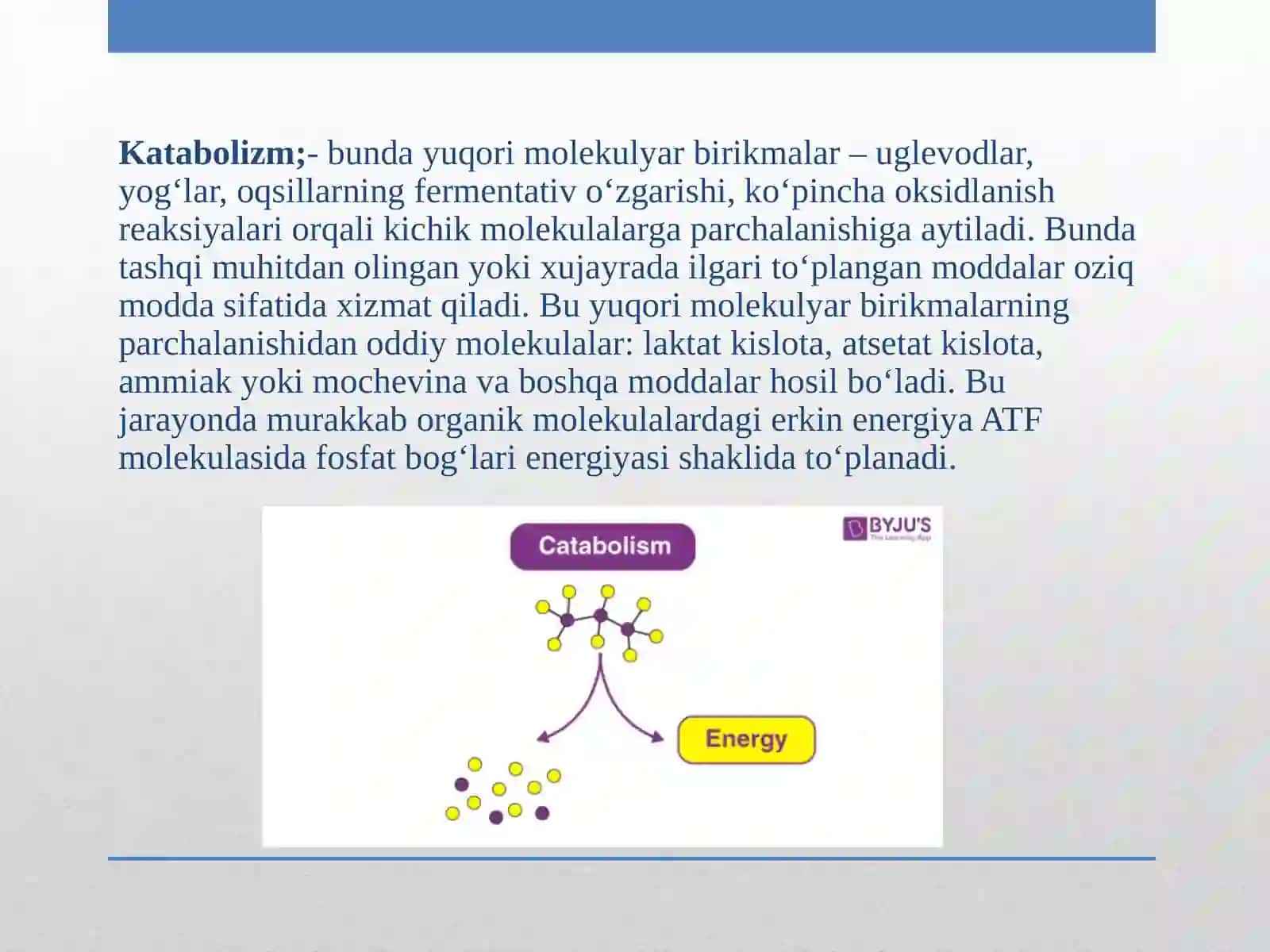 Moddalar almashinuvi. Metabolizm.Tirik organizmlardagi plastik almashinuvi 4