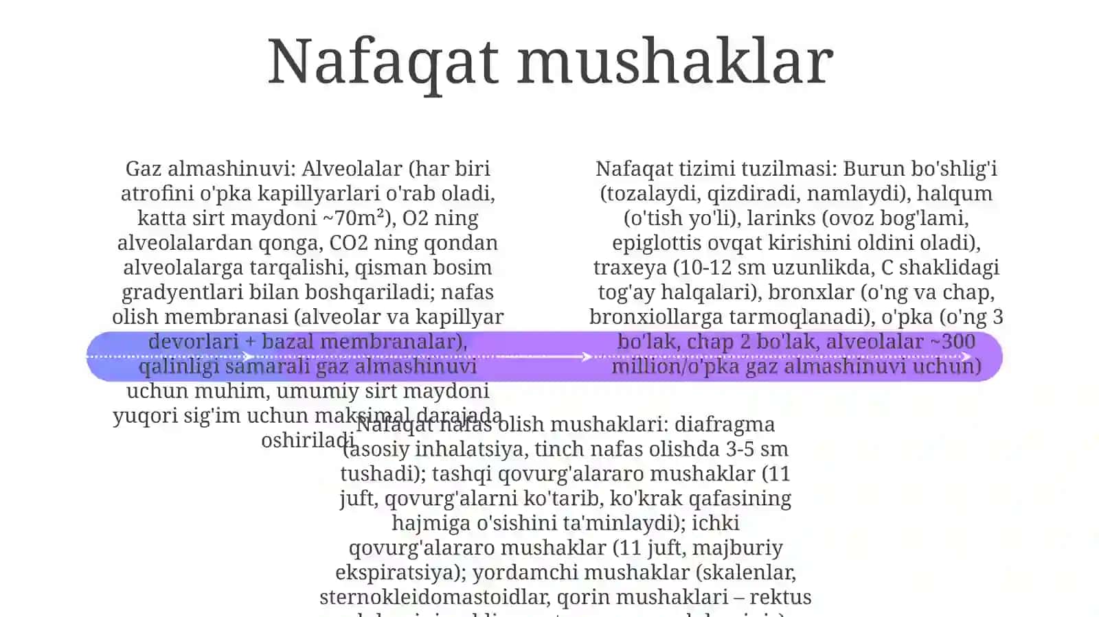 Nafasaʼzolarining tuzulishi 4