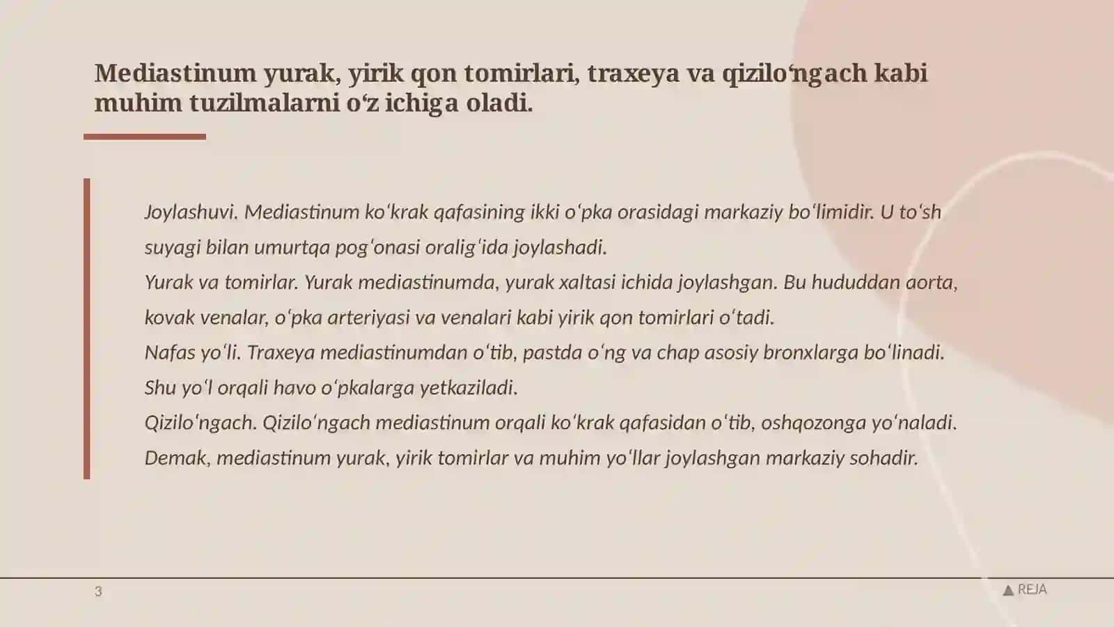 Mediastenit 4