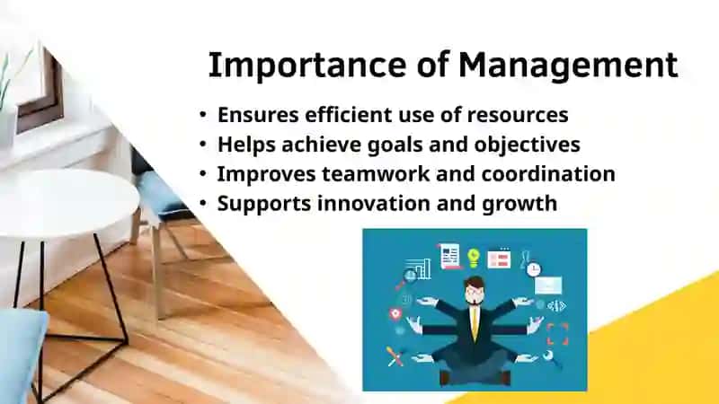 Management 4