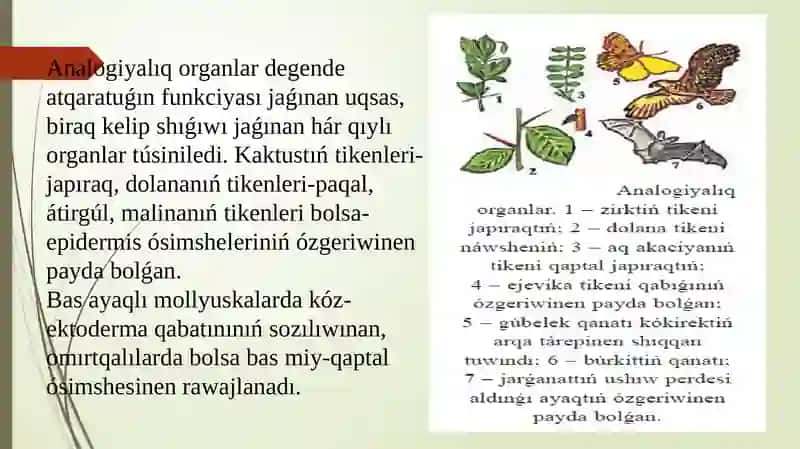 10-KLASS BIOLOGIYA47§. 204-bet 4
