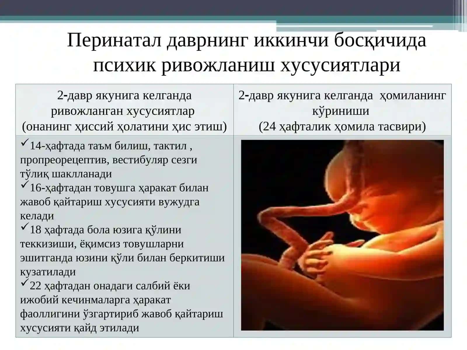 Перинатал ва чақалоқлик даврларида психофизиологик хусусиятлар 4