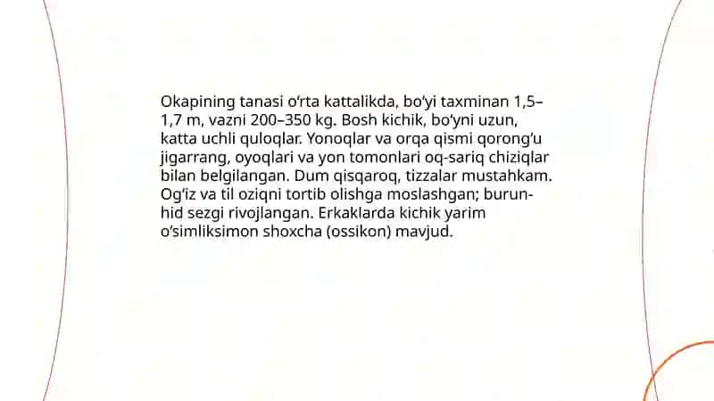 Okapi hayvoni 4