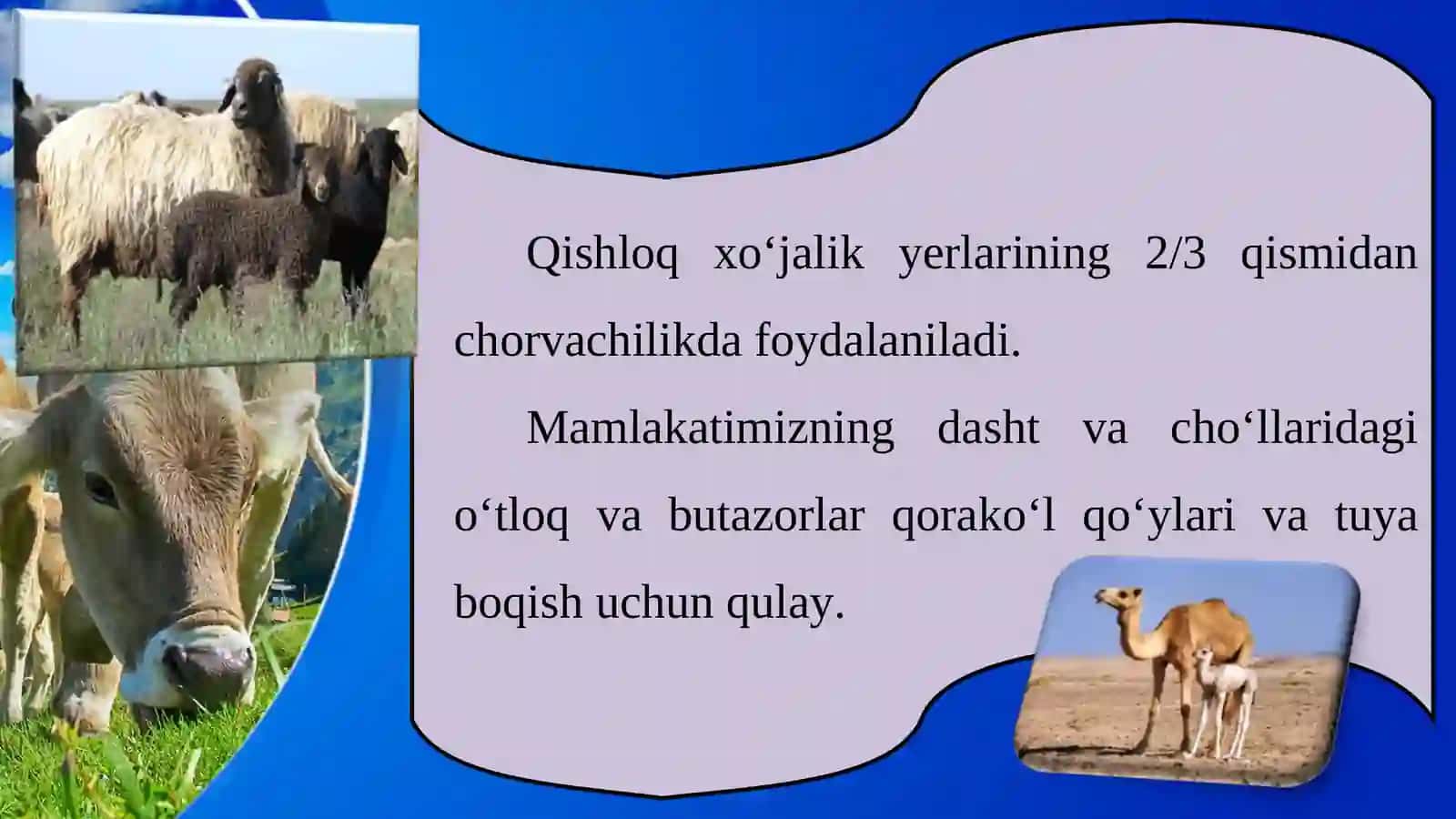 CHORVACHILIK 4