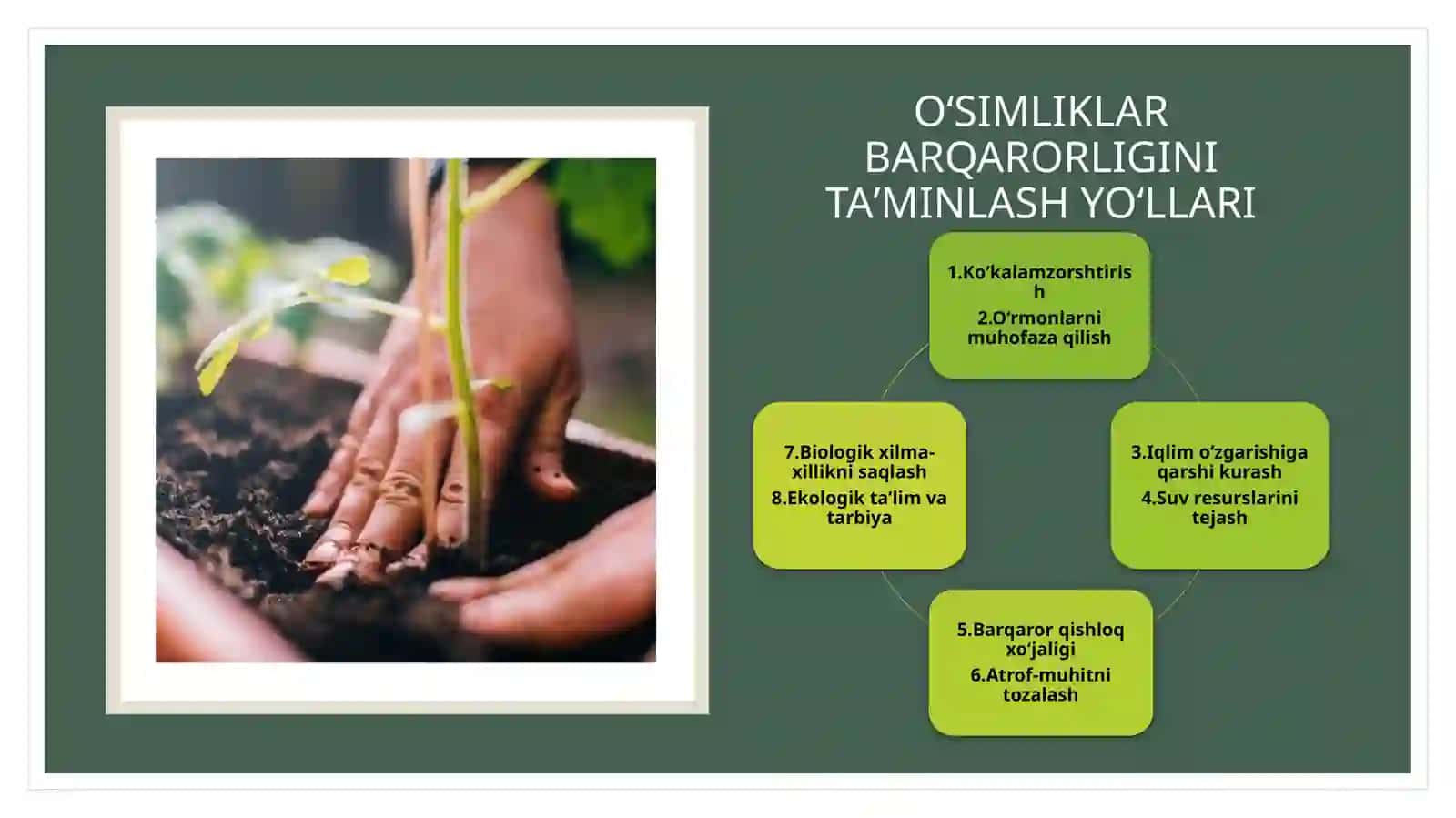 Oʻsimliklar dunyosi barqarorligini taʼminlash 4