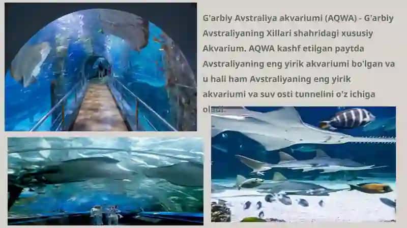 Dunyodagi eng katta akvariumlar 4
