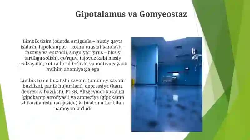Limbik tizim klinik ahamiyati 4