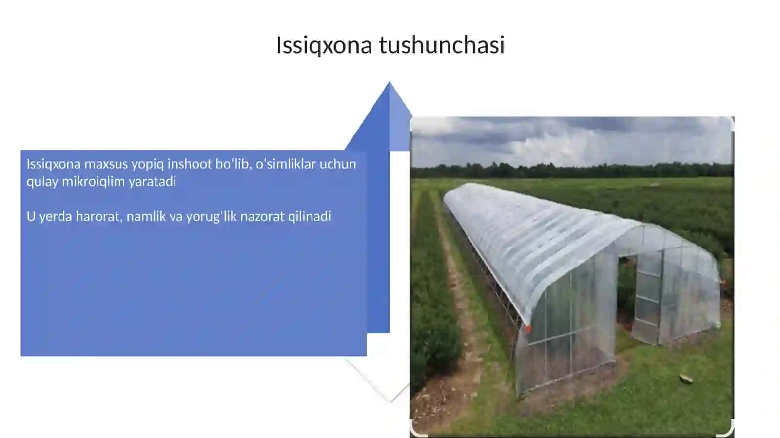 Issiqxonalar faoliyati 4