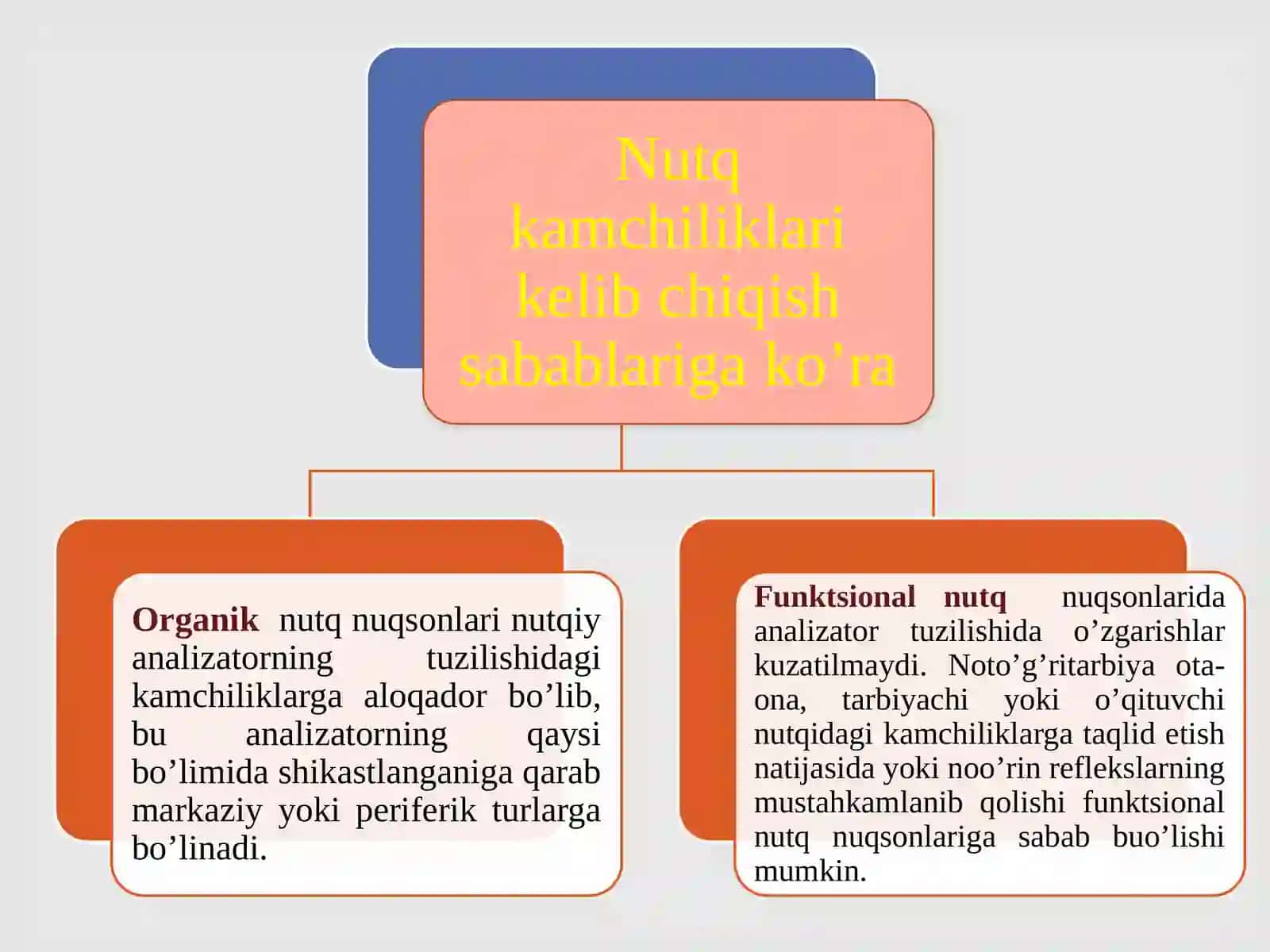 Nutqida nuqsoni bo’lganbolalar 4