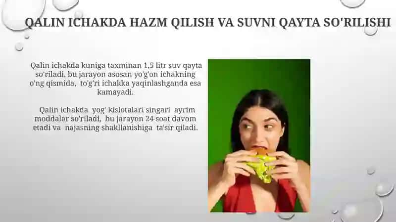Ovqat va uning hazm bolishi haqida tushuncha 4