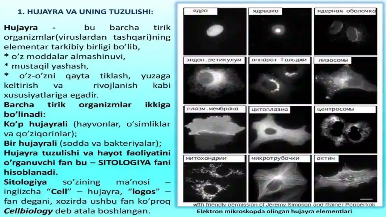Hayotning molekulyar asoslari 4