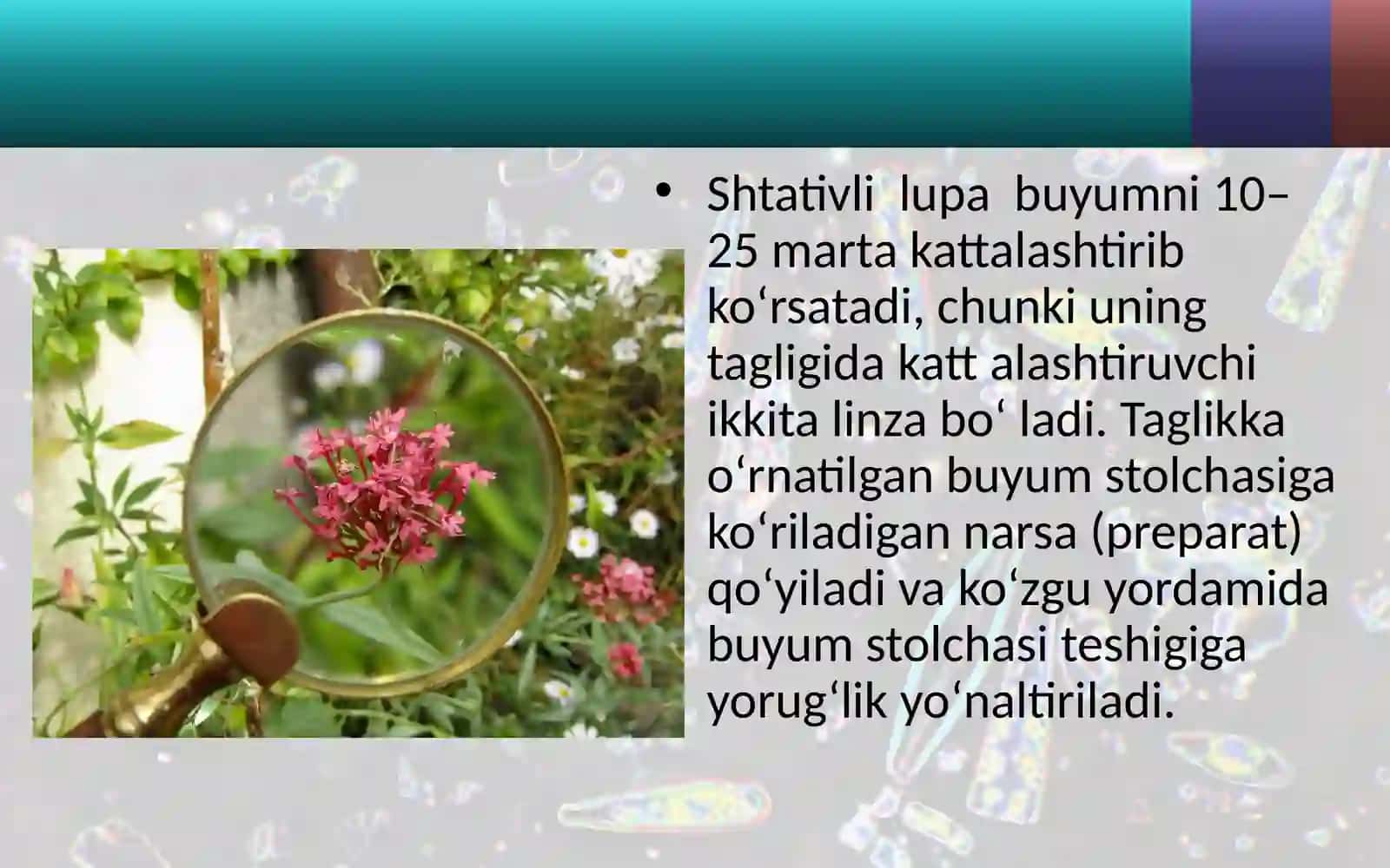 Lupa va mikroskop tuzilishi bilan tanishish 4