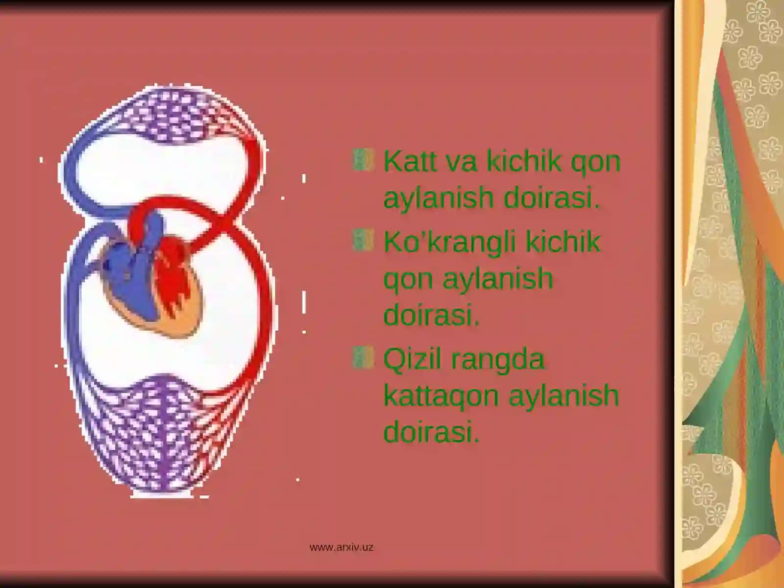 Yurak qon tomir fiziologiyasi 4