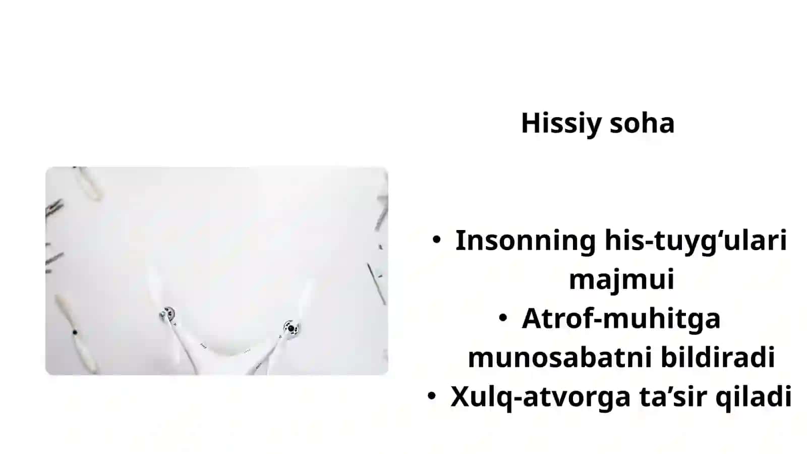Shaxsning hissiy vairodaviy sohasi 4
