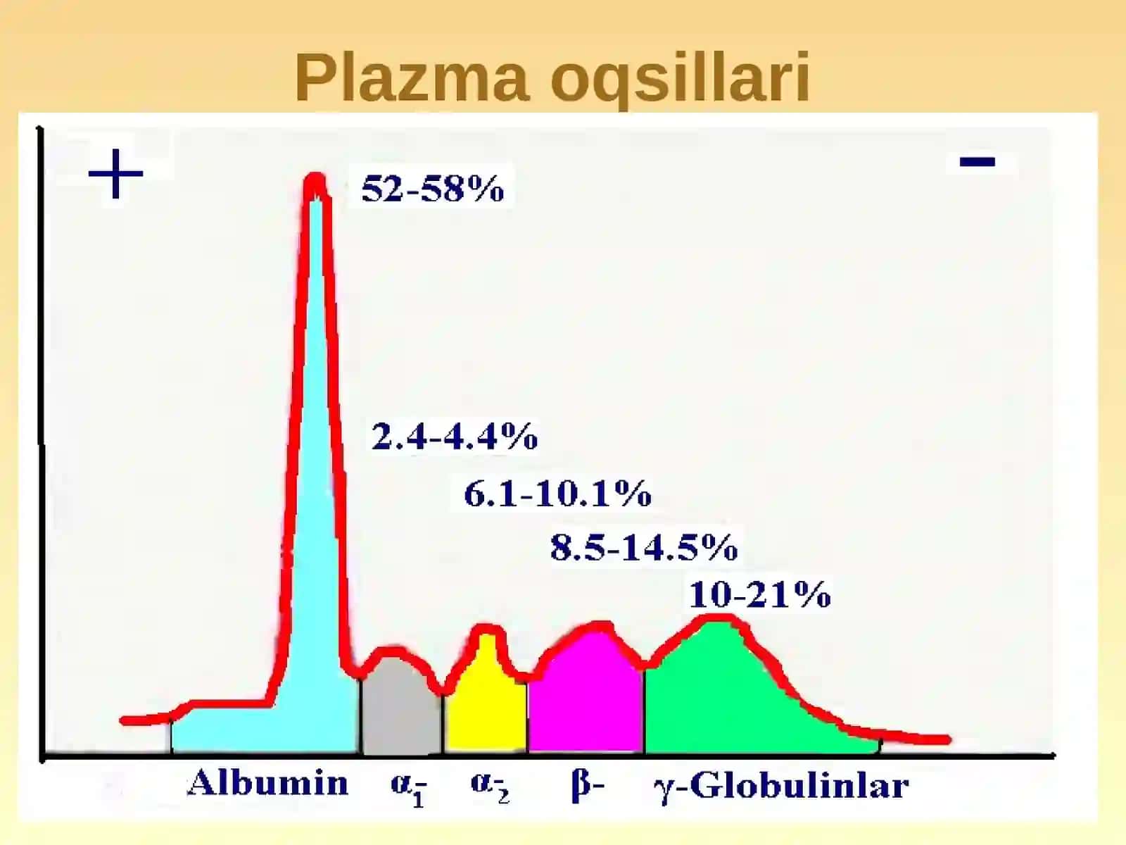 QON VA LIMFA-RETIKULYAR TIZIMI BIOKIMYOSI 4