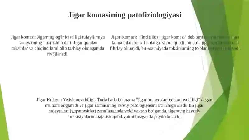 Jigar Komasi 4
