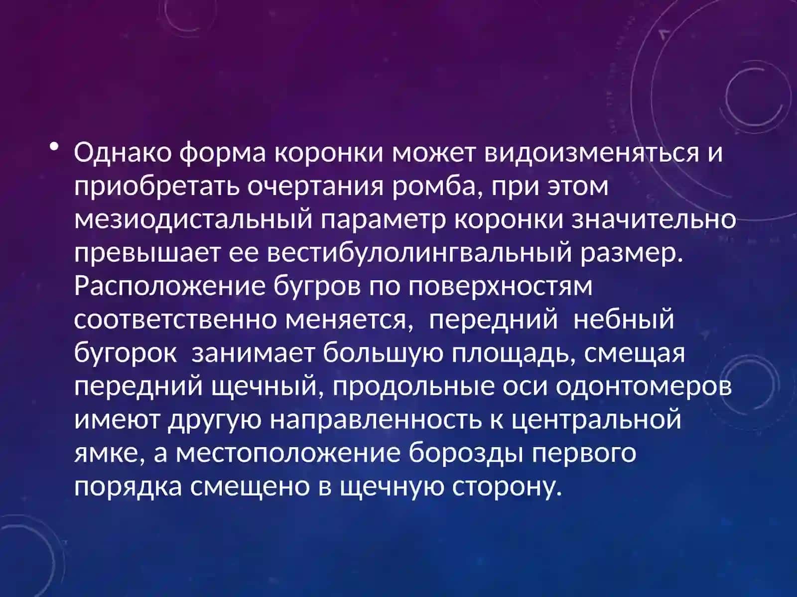 Анатомия верхних моляров 4