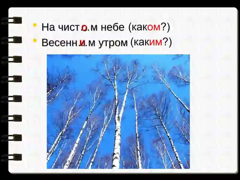 Правописание безударных окончаний имен прилагательных 4
