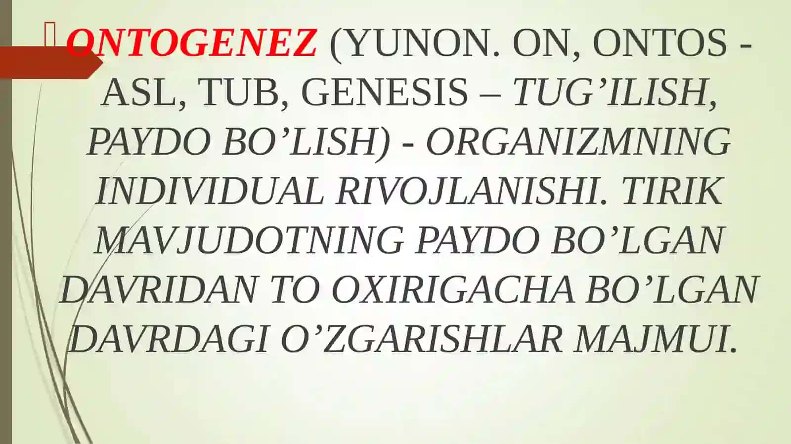 ONG TARAQQIYOTIVA ONGSIZLIK 4