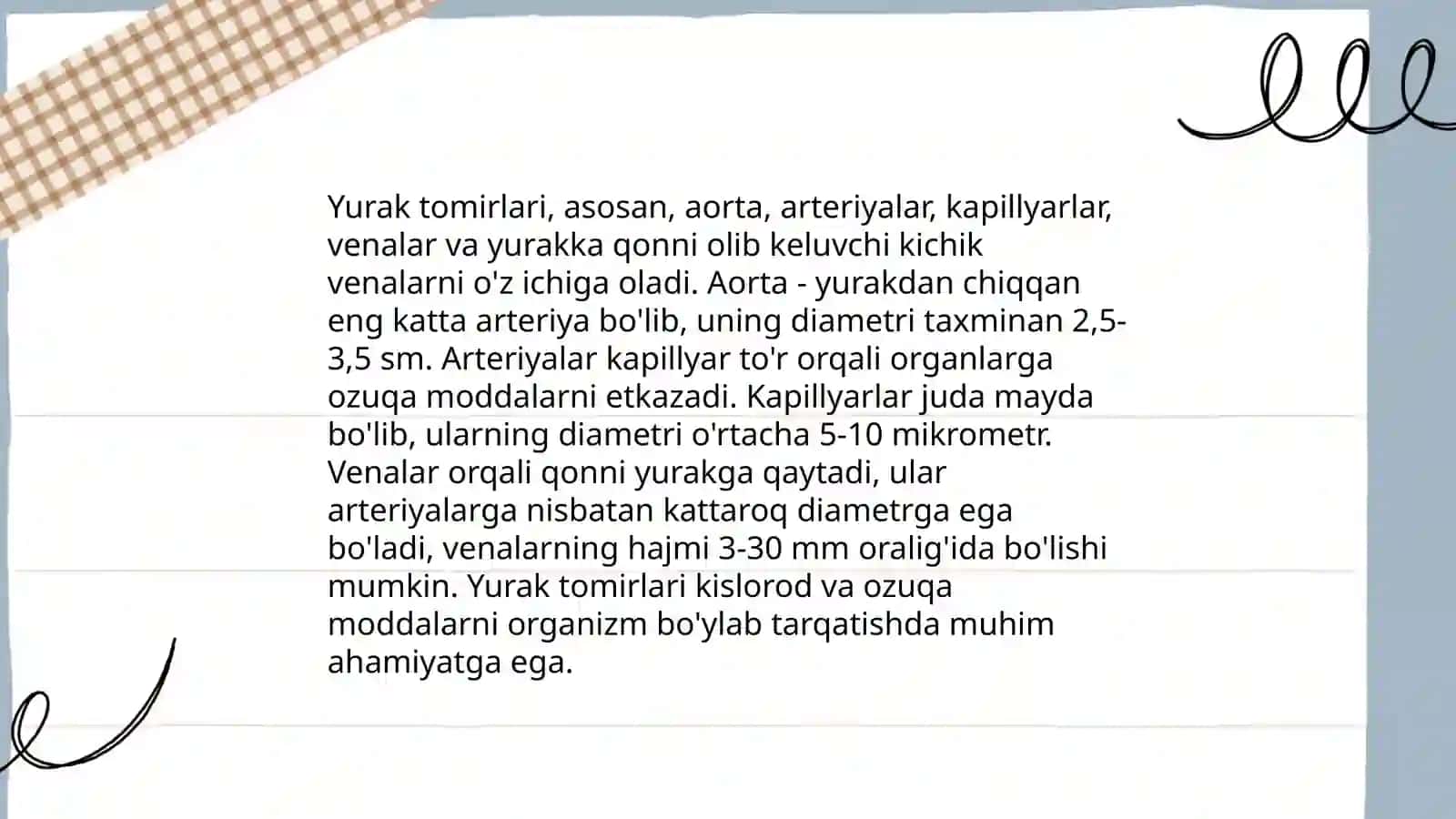 Yurakning qon bilan ta'minlanish tizimi 4